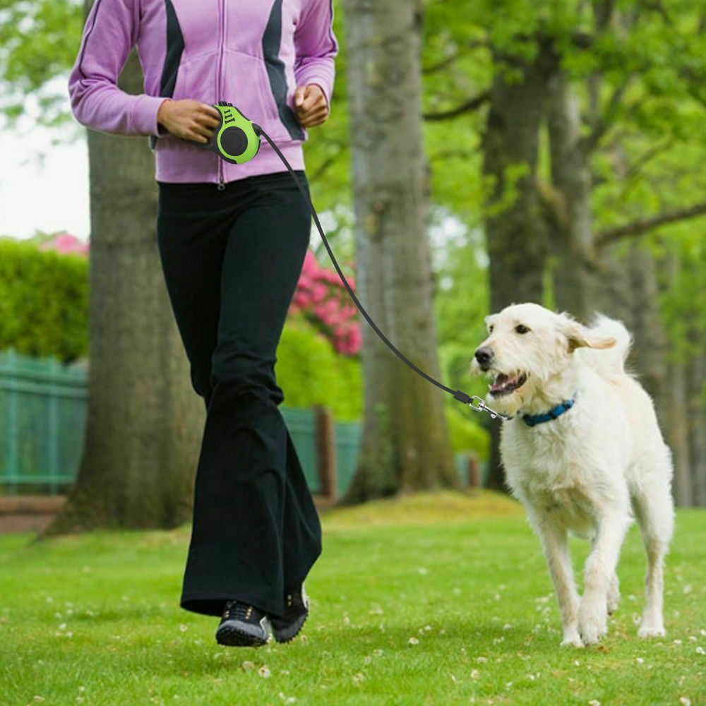 Retractable Automatic Dog Leash For Easy, Comfortable Walking Control - Cat&Dog Wonderland