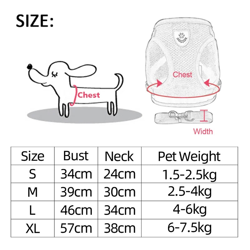 Adjustable Cat & Small Dogs Harness and Leash Set – Perfect for Outdoor Walks! - Cat&Dog Wonderland