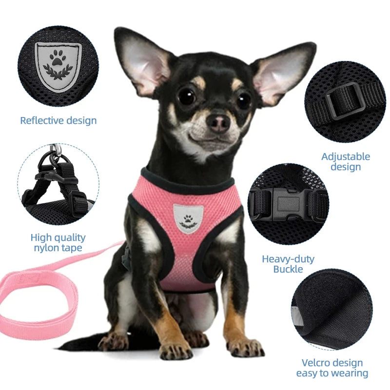 Adjustable Cat & Small Dogs Harness and Leash Set – Perfect for Outdoor Walks! - Cat&Dog Wonderland