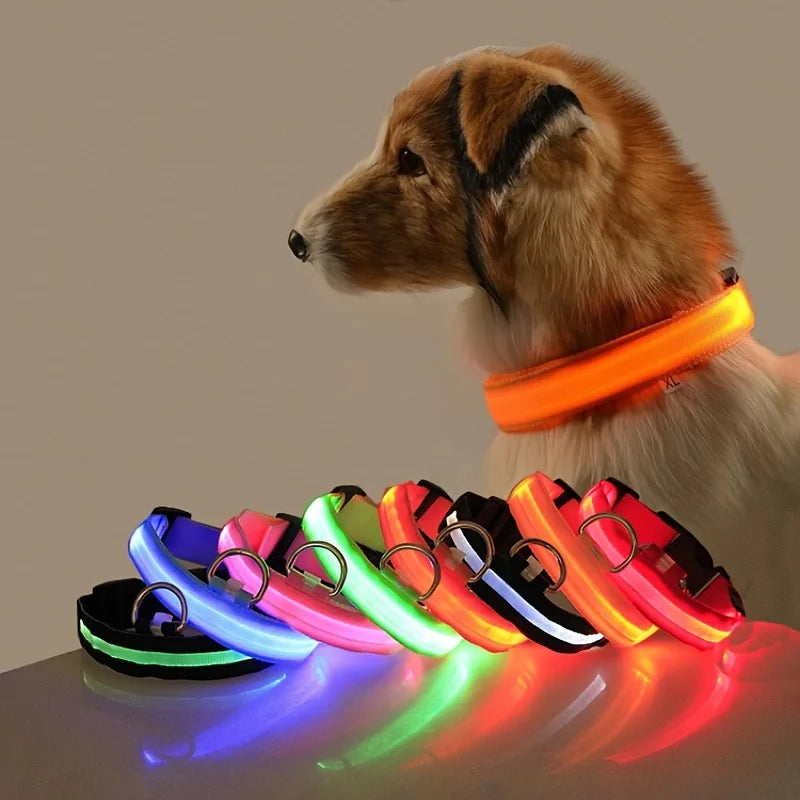 Fantastic Nylon LED Dog Collar – Glow-in-the-Dark, Flashing Night Safety - Cat&Dog Wonderland