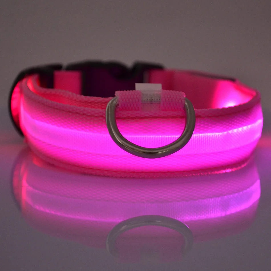 Fantastic Nylon LED Dog Collar – Glow-in-the-Dark, Flashing Night Safety - Cat&Dog Wonderland