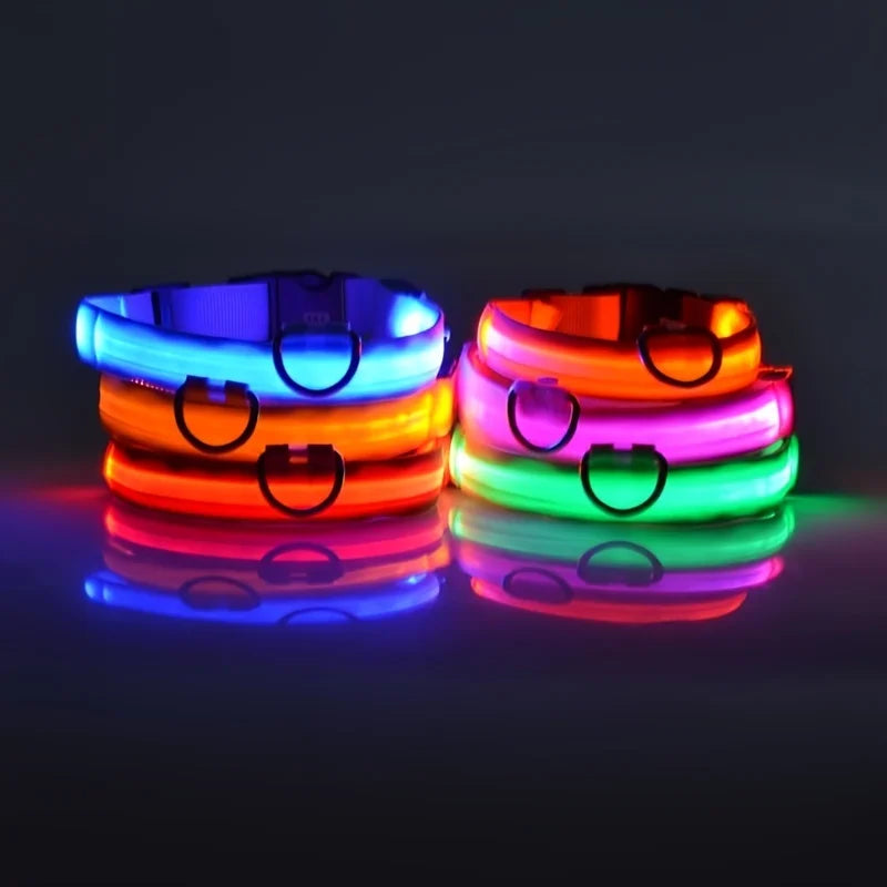 Fantastic Nylon LED Dog Collar – Glow-in-the-Dark, Flashing Night Safety - Cat&Dog Wonderland