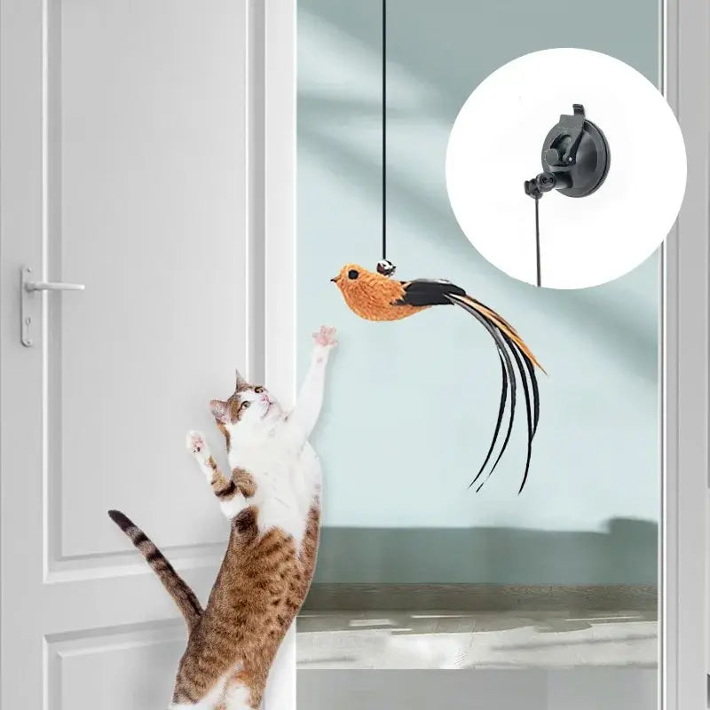 Feather Cat Teasing Stick – Long Rod with Safe, Durable Design for Fun Times! - Cat&Dog Wonderland